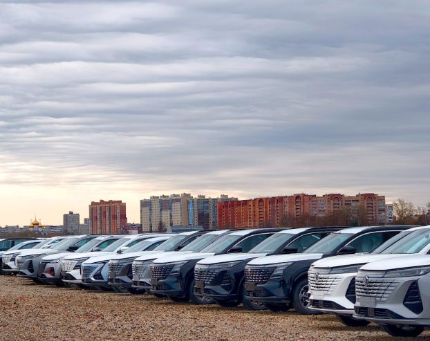 Cars at a storage site in the Moscow region