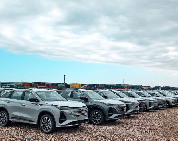 Cars at a storage site in the Moscow region