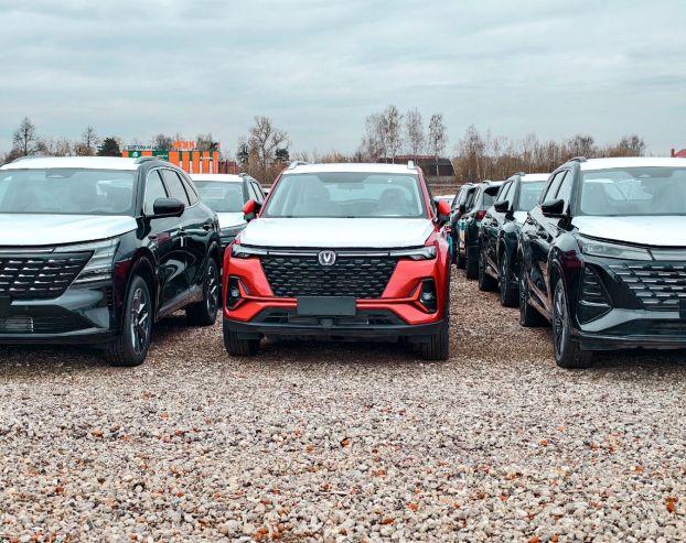 Cars at a storage site in the Moscow region